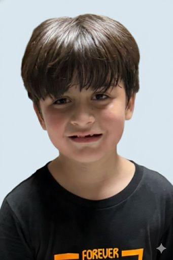 DYLAN ALFONZO ALAYZA BORGES