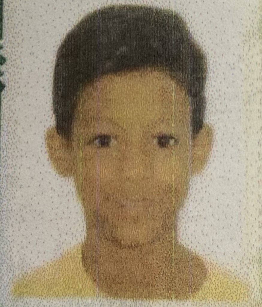 ENRICO CONRADO PEREIRA 