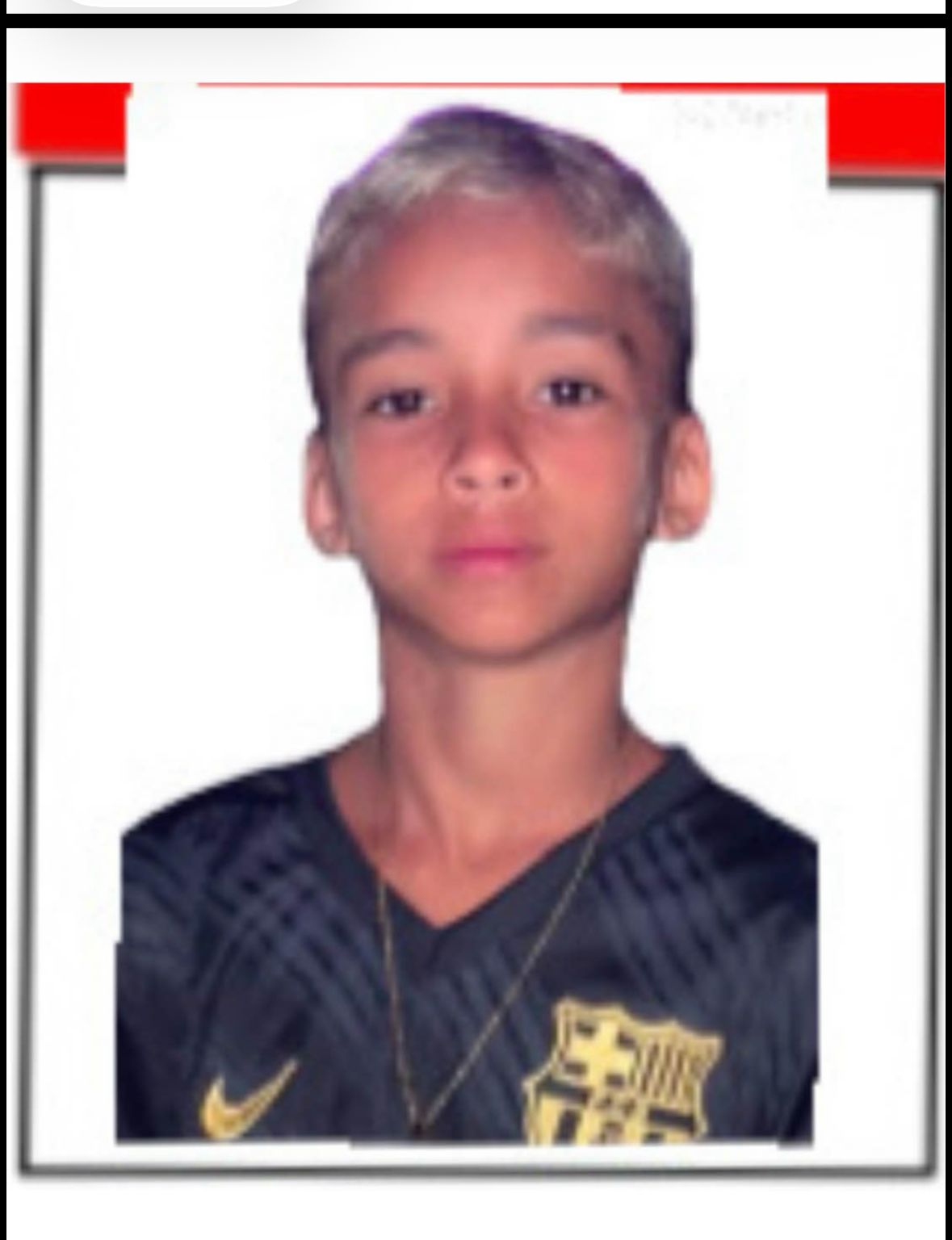 ZLATAN RODRIGUES LOPES 