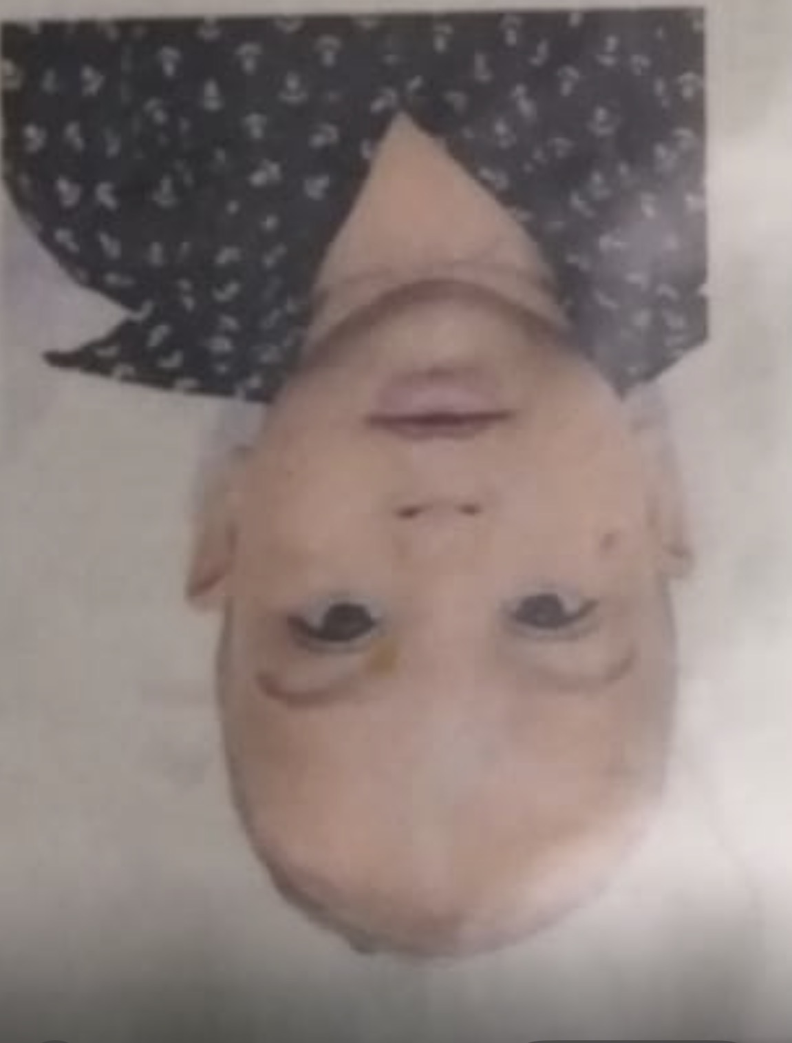 VICENTE EDUARDO LOBO MARQUES