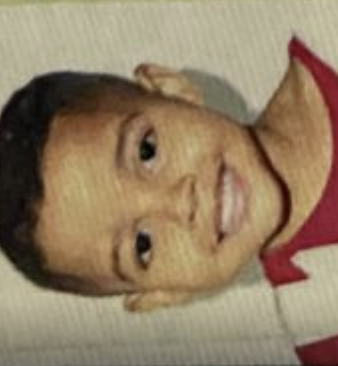 LUIZ FERNANDO NUNES CARDOSO