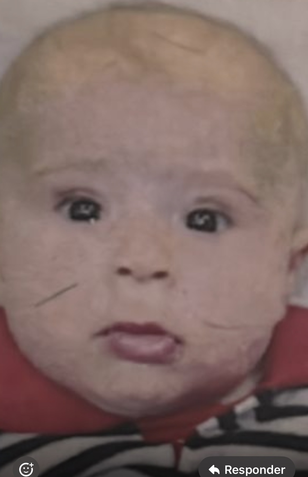 GABRIEL SALVATERRA DIAS BORGES